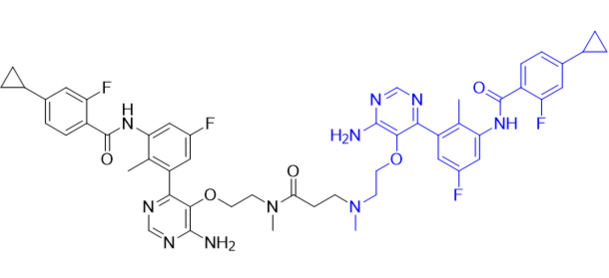 Remibrutinib Dimer