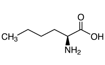 L-Norleucine